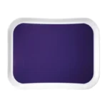Plateau Century Fun Cambro raisin 430x330 mm