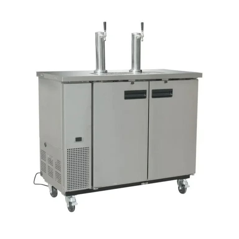 Distributeur de bière à tirage direct Polar Série G double inox
