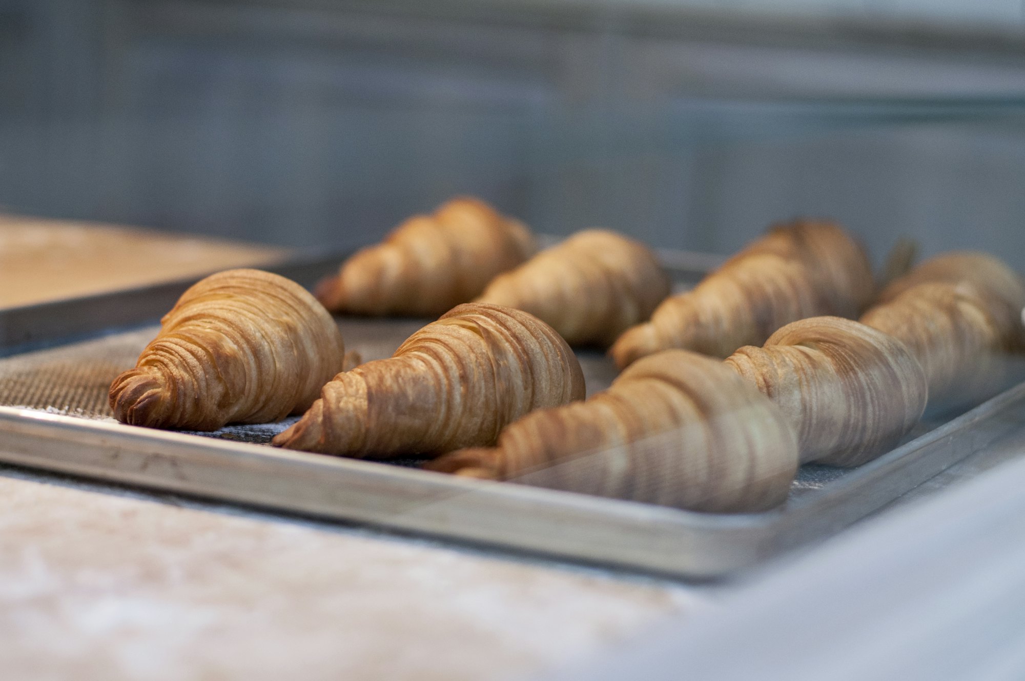 Croissants sur une plaque